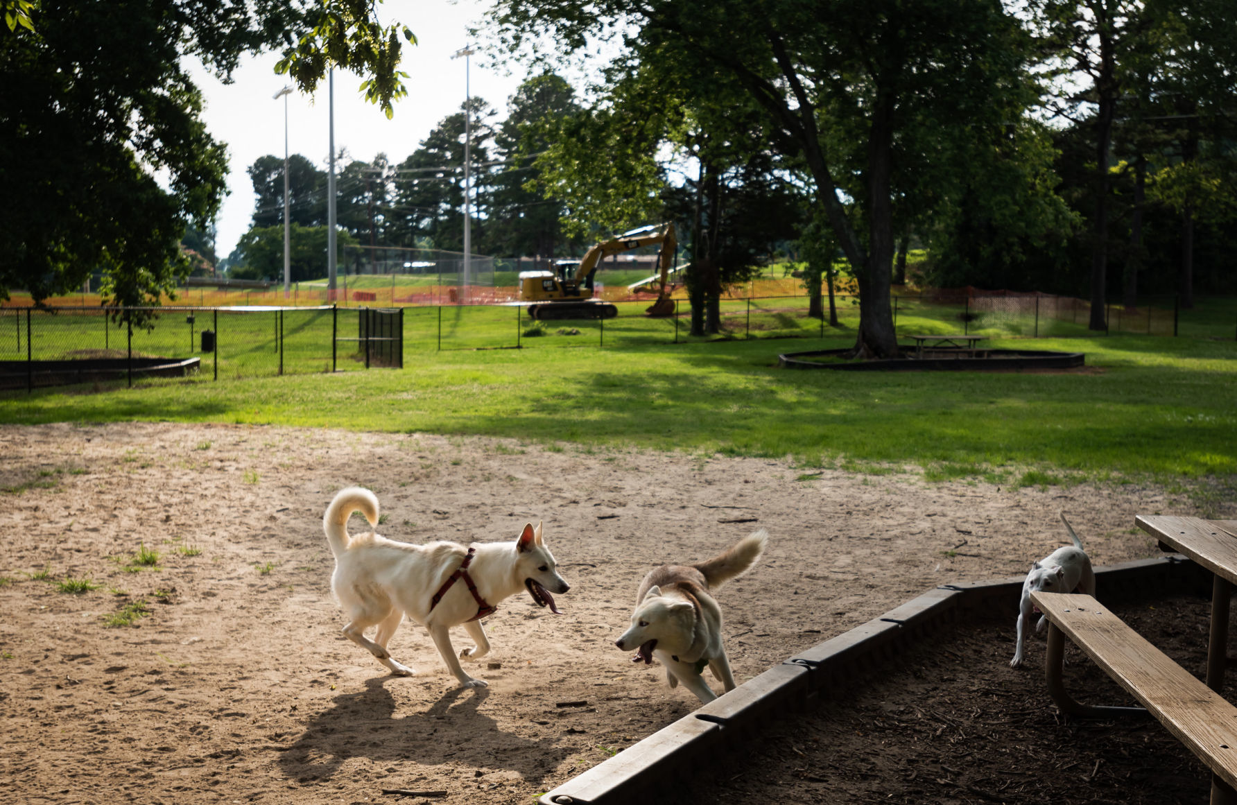 Washington Park